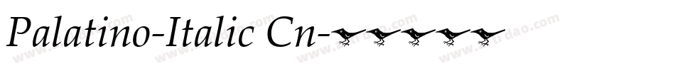 Palatino-Italic Cn字体转换
